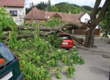 Kwikfynd Tree Cutting Services
devonhills