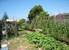Kwikfynd Vegetable Gardens
devonhills